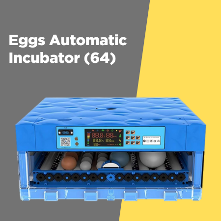 Add a little bit of body text (5)