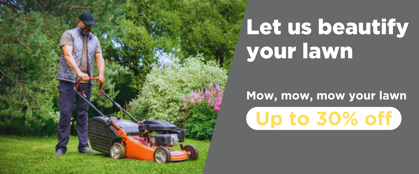 Feel the Power of the Sun (2)